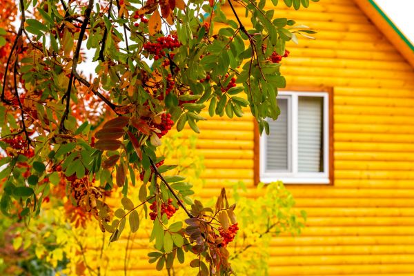 Garden Window Replacement in Brenham
